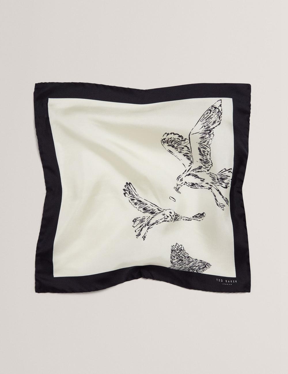 Men Ted Baker BENHALP - Seagull Graphic Silk Pocket Pocket Squares Ecru | Egypt  JBGWA-4839