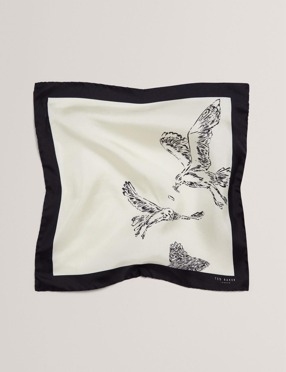 Men Ted Baker BENHALP - Seagull Graphic Silk Pocket Pocket Squares Ecru | Egypt  JBGWA-4839