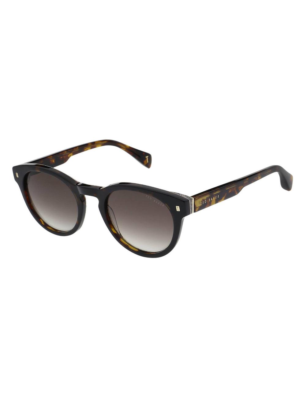 Men Ted Baker DAX - Round Chunky Temple Sunglasses Brown | Egypt  CJBGI-7596