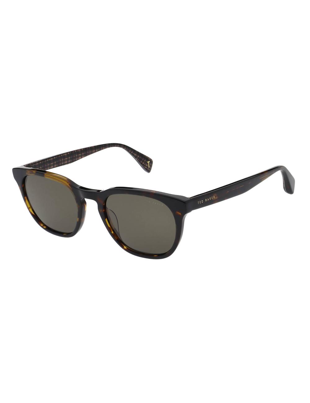 Men Ted Baker SORLEY - Classic Rounded Eye Sunglasses Tort | Egypt  SYMFW-5967
