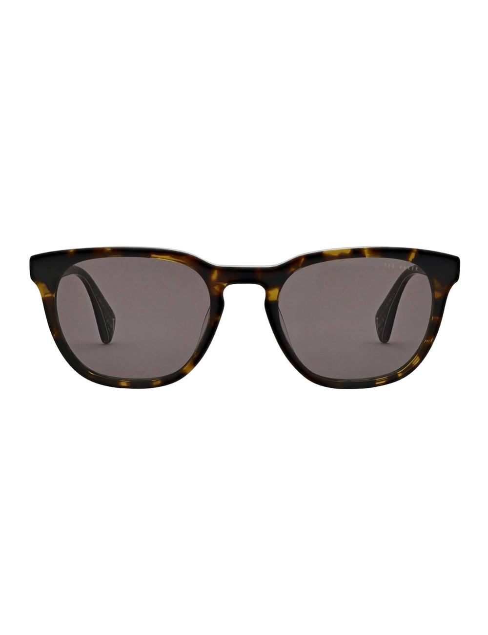 Men Ted Baker SORLEY - Classic Rounded Eye Sunglasses Tort | Egypt  SYMFW-5967