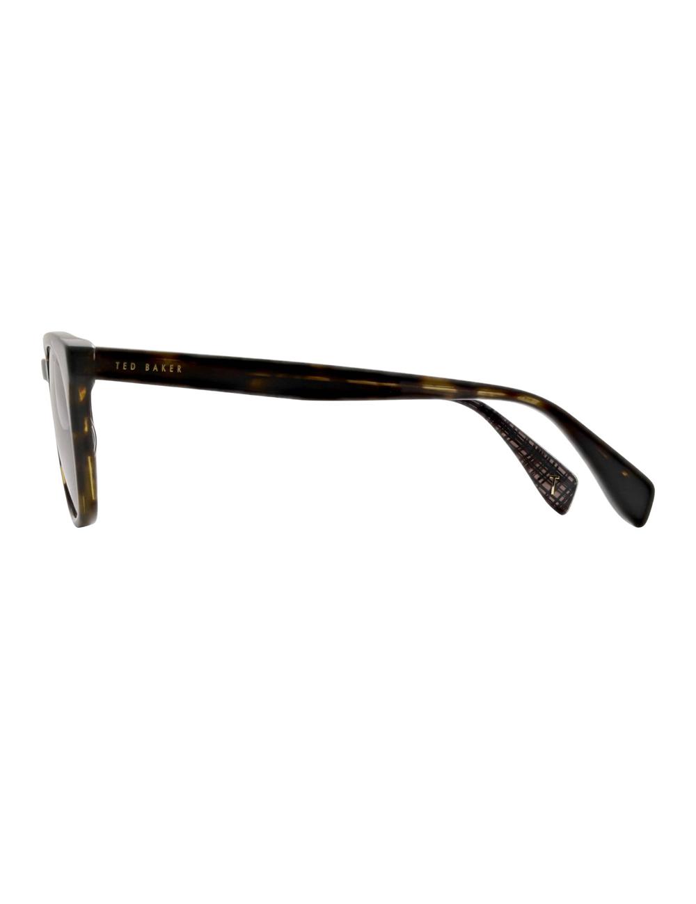 Men Ted Baker SORLEY - Classic Rounded Eye Sunglasses Tort | Egypt  SYMFW-5967