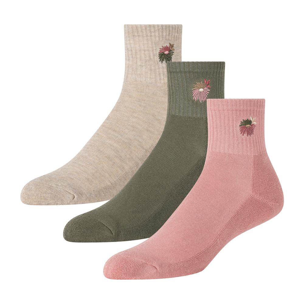 Women Ted Baker 3 Pack Cushioned Sole High Ankle Crew Socks Pink | Egypt  HOYIZ-1863