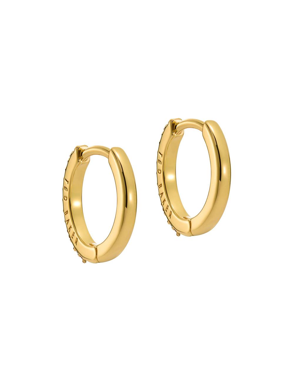 Women Ted Baker HEPLIE - Crystal Huggie Hoop Earrings Multicol | Egypt  ADPEU-1794