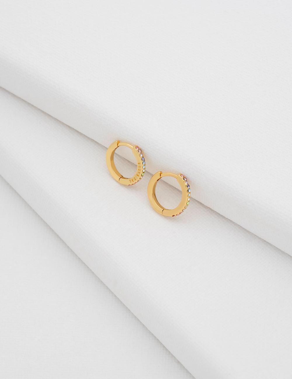 Women Ted Baker HEPLIE - Crystal Huggie Hoop Earrings Multicol | Egypt  ADPEU-1794